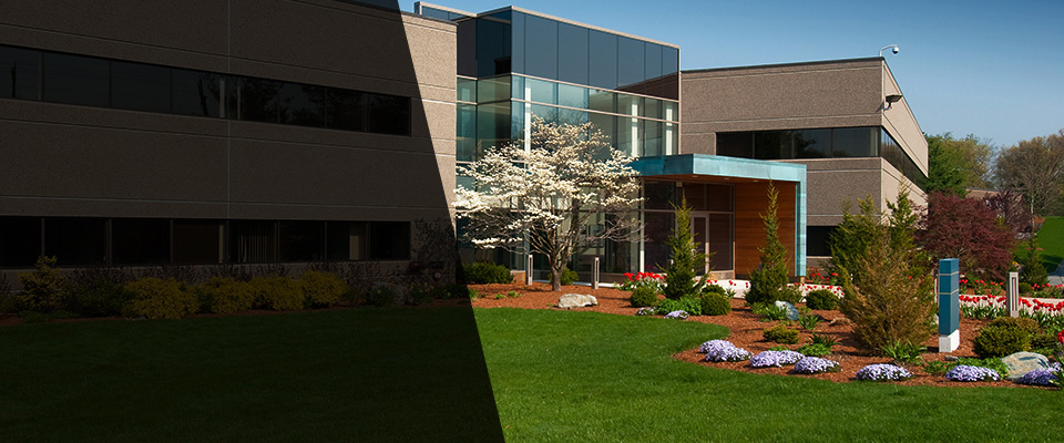 Saint Matthews Landscapers