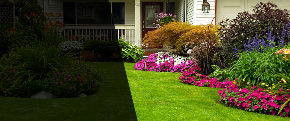 Saint Matthews Landscapers