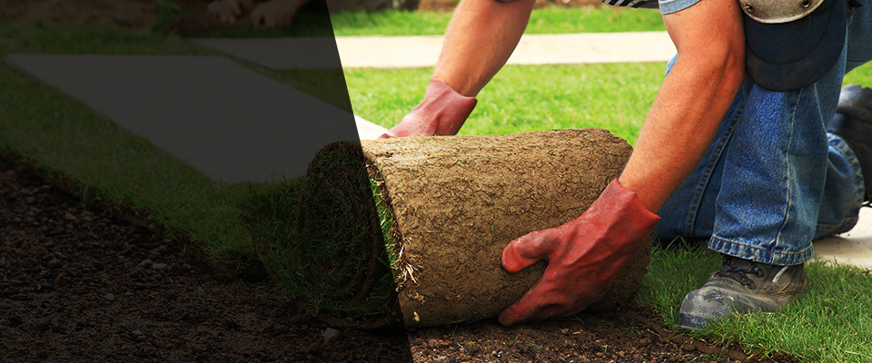 Saint Matthews Landscapers